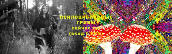 винт Горняк