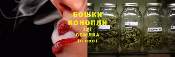 СК Горнозаводск