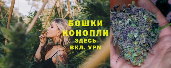 винт Горняк