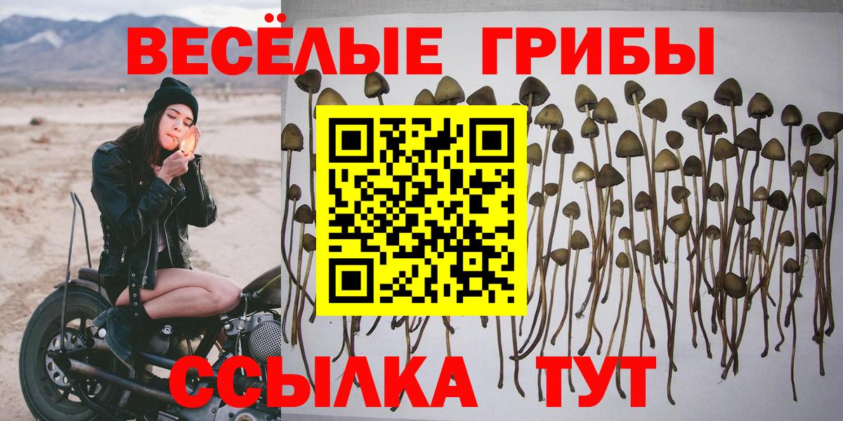 Пушкино  Псилоцибиновые грибы MAGIC MUSHROOMS  Вход с VPN 