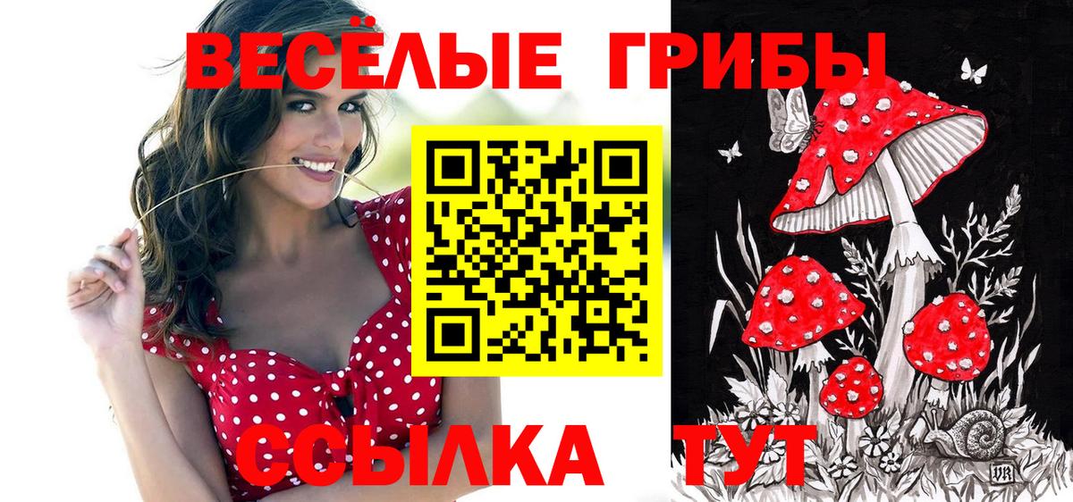 Псилоцибиновые грибы Psilocybine cubensis Пушкино